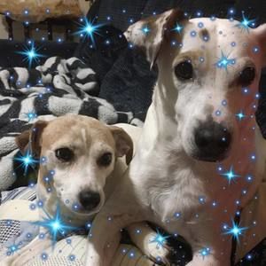 Meet your Posher, Josie